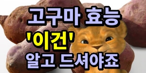 고구마효능 제목썸네일