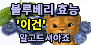 블루베리효능 제목썸네일