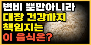 차전자피 효능과 부작용