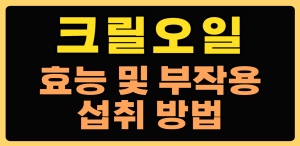 크릴오일 효능 부작용