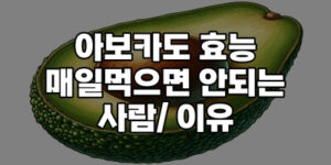 아보카도 효능 먹는법