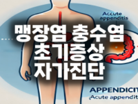 맹장염충수염 썸네일