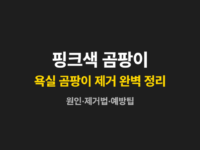 핑크곰팡이 썸네일